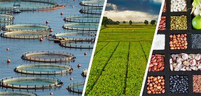 Desteklemeler Ödendi!